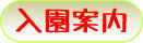 入園案内やお問合せ